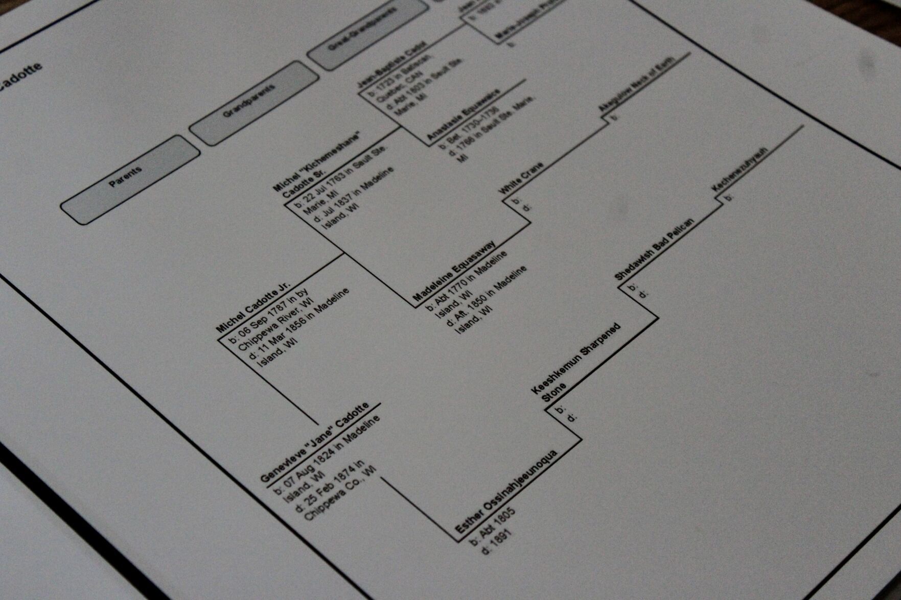 Family tree